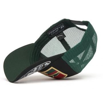 Бейсболка детская Minnesota Wild №97