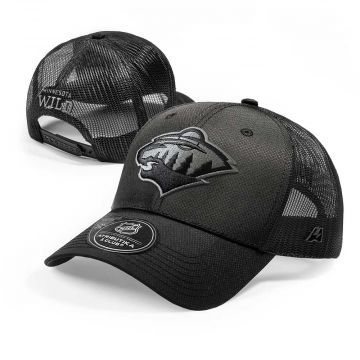 Бейсболка Minnesota Wild
