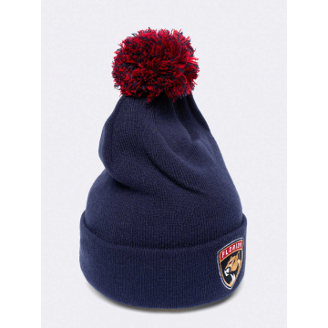 Шапка Florida Panthers