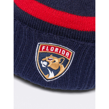 Шапка Florida Panthers