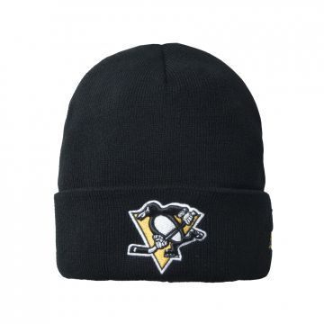 Шапка Pittsburgh Penguins
